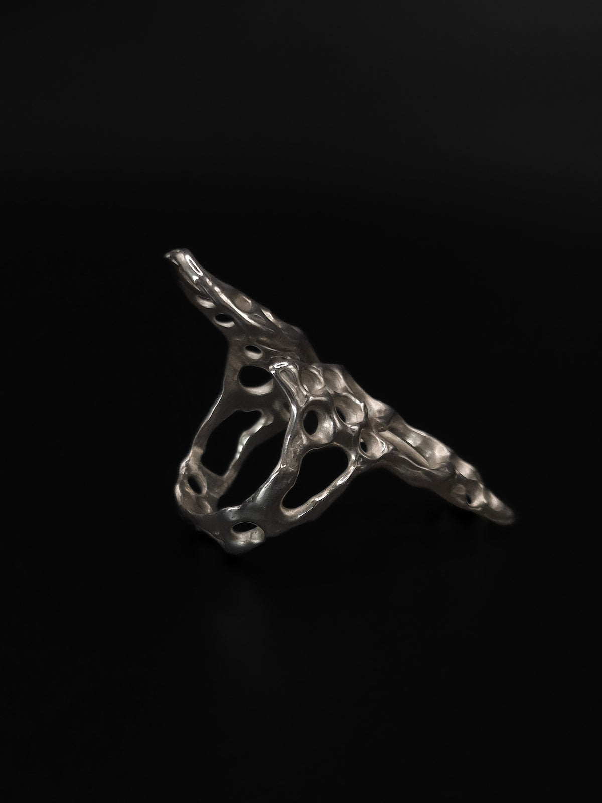 Bague totem fossile