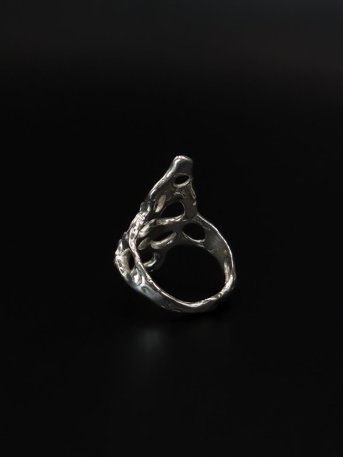 Bague nerf d'argent